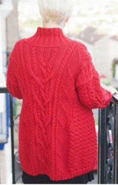 jamieson-s-scarlett-jacket-patron-veste-aran-femme-torsades image 1