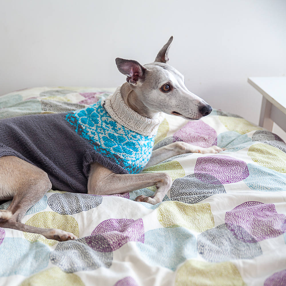 christallk-modeles-pyke-s-sweater-patron-pull-chien-l-vrier image 7