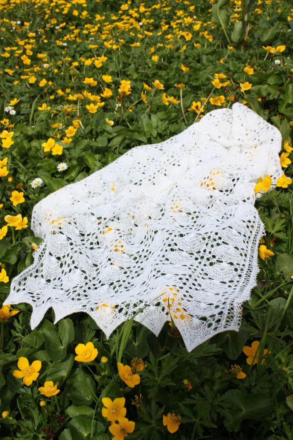 jamieson-s-cockleshell-stole-patron-tole-dentelle-mary-leask image 1