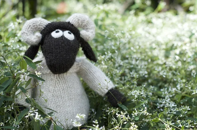 jamieson-s-janice-anderson-wee-blackface-sheep-patron-peluche image 1