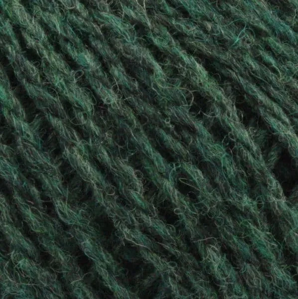 jamieson-s-shetland-marl-chunky-336-conifer-laine-100g-vert image 1