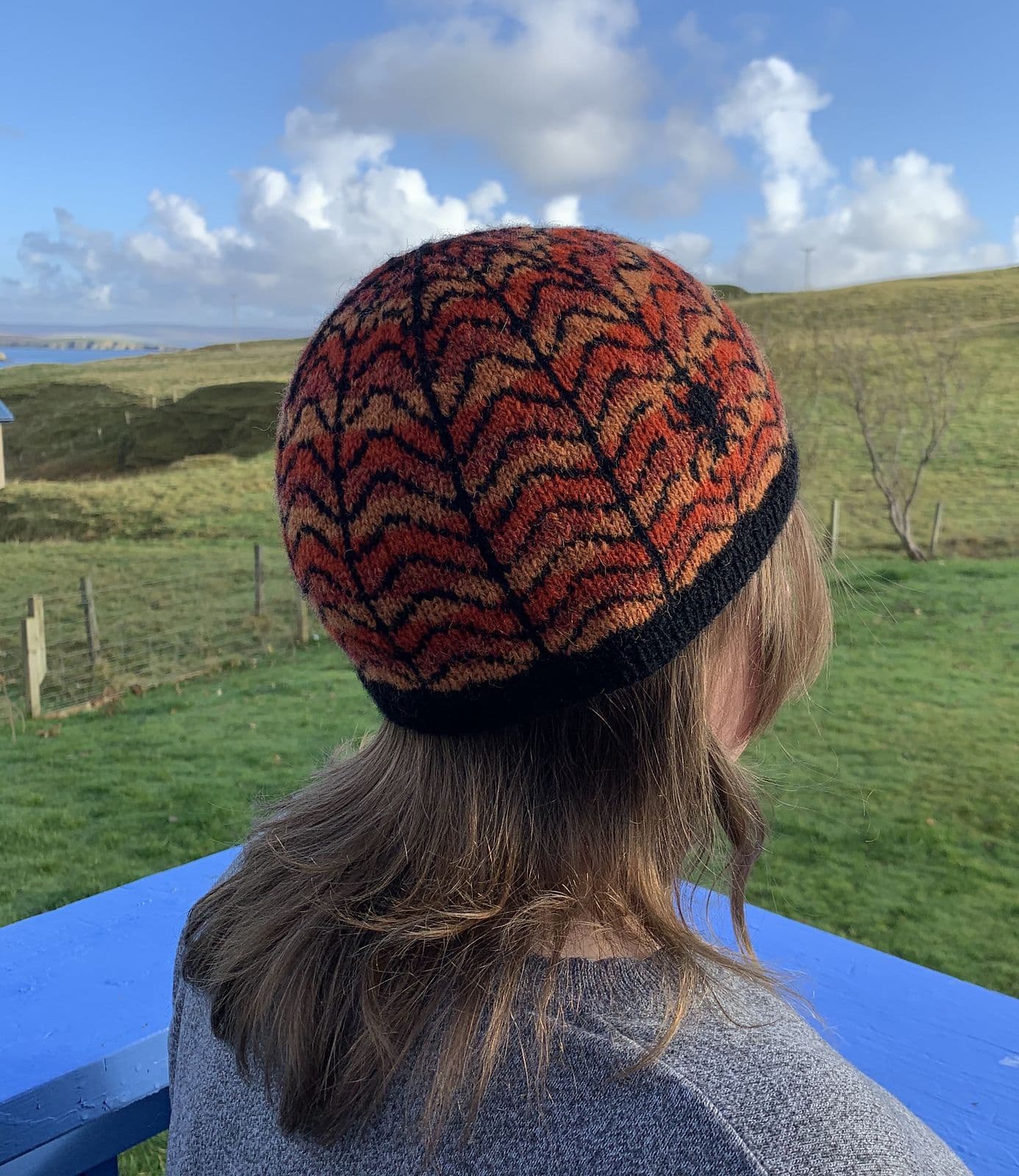 jamieson-s-of-shetland-marmion-beanie-patron-bonnet-araign-e image 3