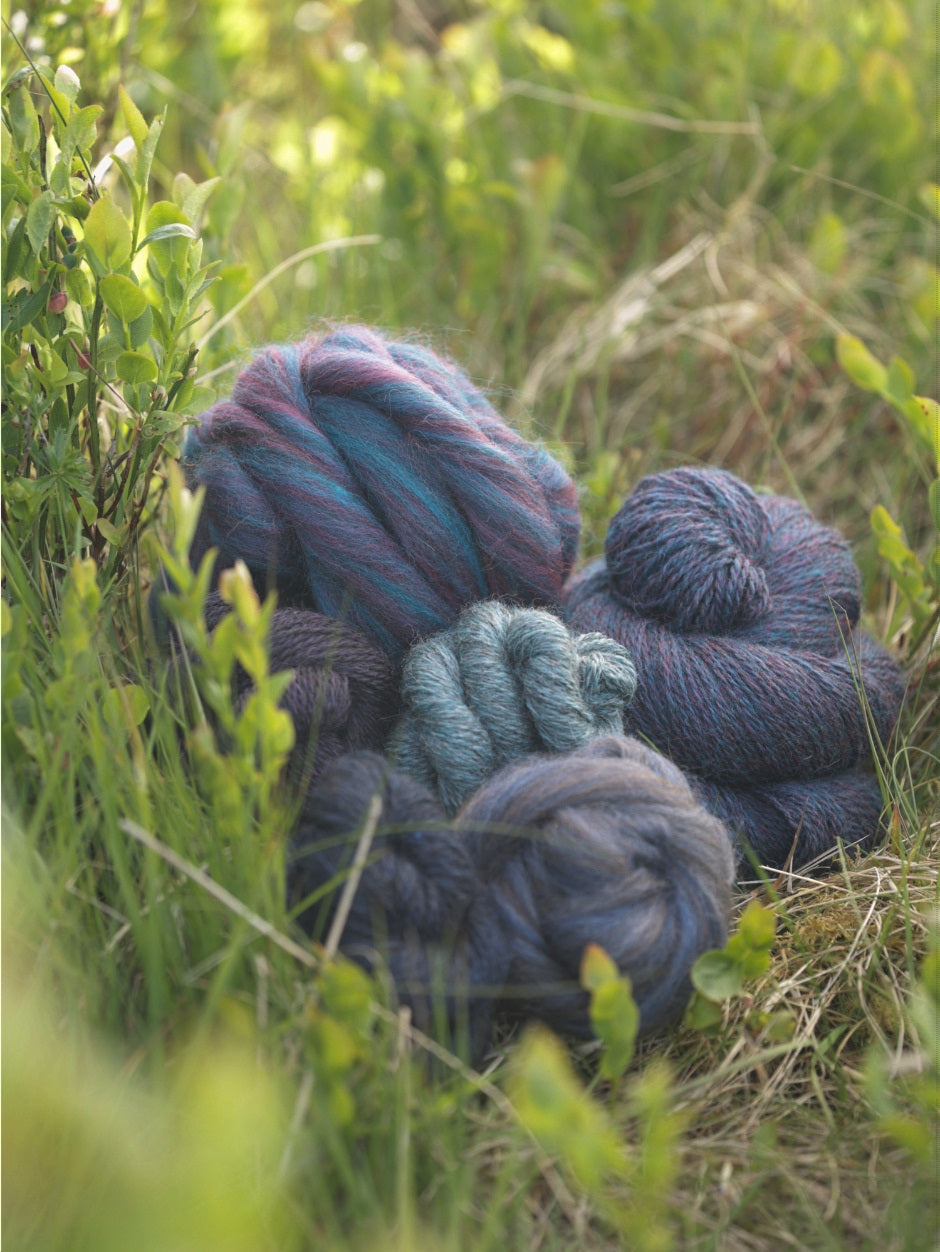 john-arbon-harvest-hues-tops-laine-filer-silver-birch-zwartbles image 6