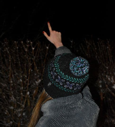 winter-garden-hat-nicole-estelle-patron-bonnet-t-l-chargement image 3