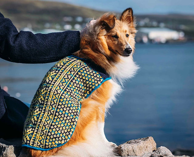 jamieson-smith-sunbeam-dug-coat-kit-manteau-chien-33cm image 1