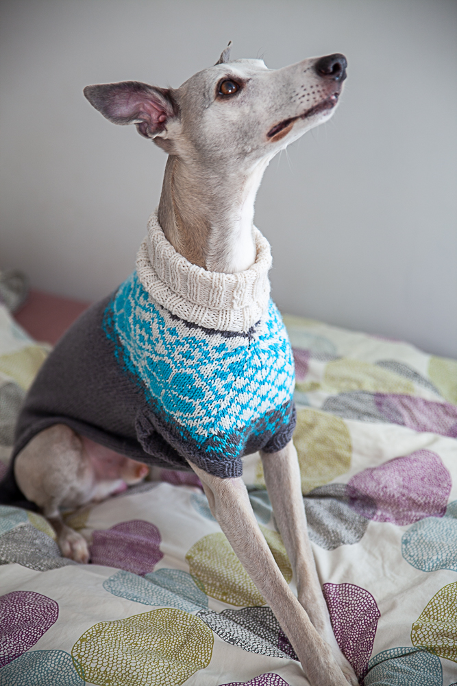christallk-modeles-pyke-s-sweater-patron-pull-chien-l-vrier image 6