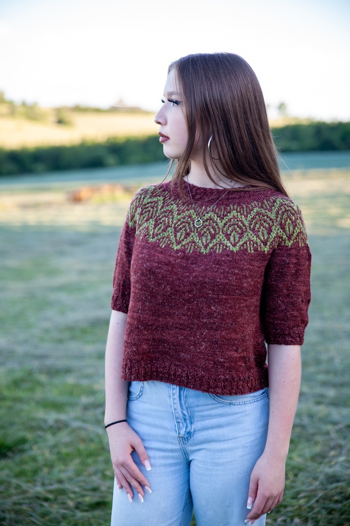 christallk-modeles-foliage-sweater-patron-pull-mosa-que-lin image 3