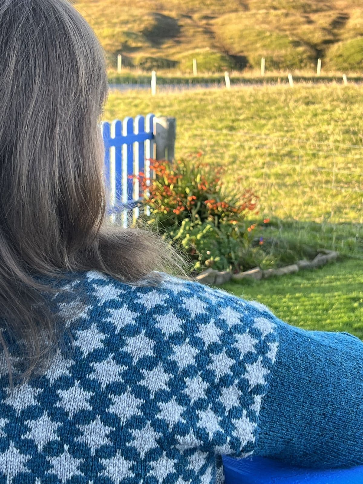 jamieson-s-north-star-sweater-mandy-moore-patron-pull-jacquard image 3