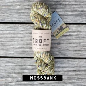 jamieson-smith-croft-fil-aran-mossbank-tweed-100g image 1