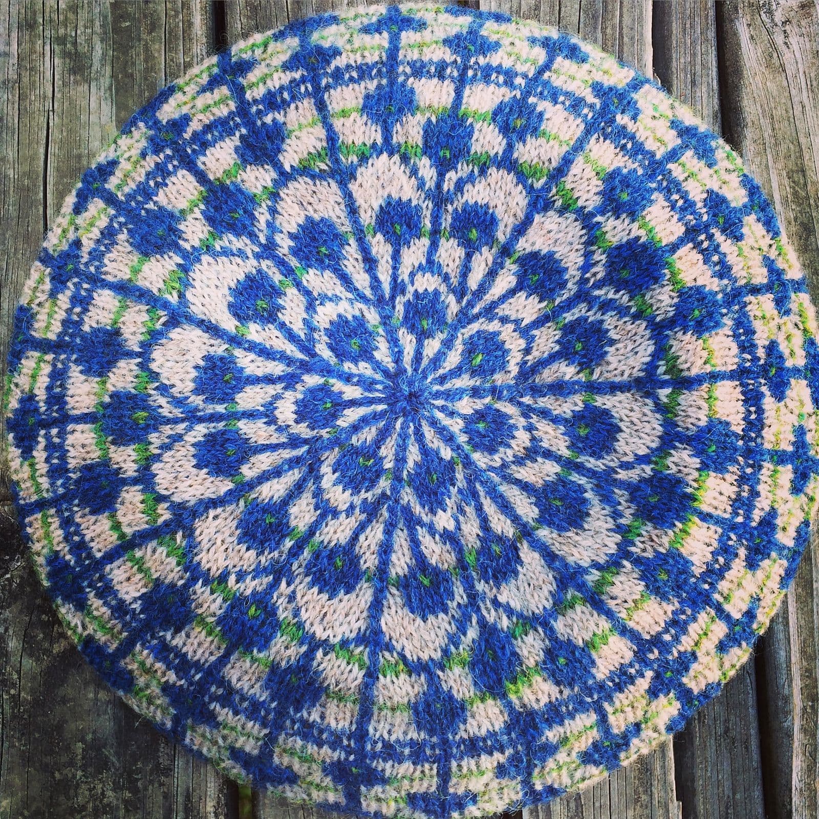 berries-branches-hat-patron-bonnet-jacquard-lynn-nilges image 3