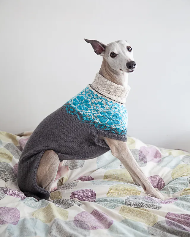 christallk-modeles-pyke-s-sweater-patron-pull-chien-l-vrier image 1
