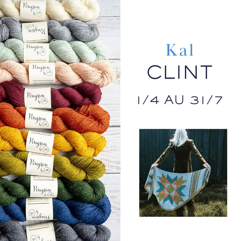 christallk-laine-clint-kit-tricot-ch-le-5-cheveaux image 1