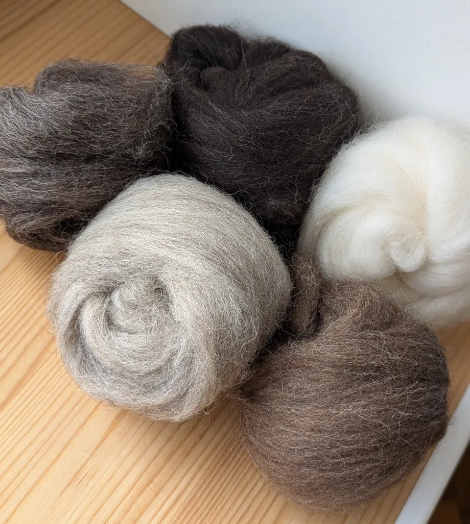 jamieson-smith-natural-combed-tops-fibre-shetland-100g-5-nuances image 1