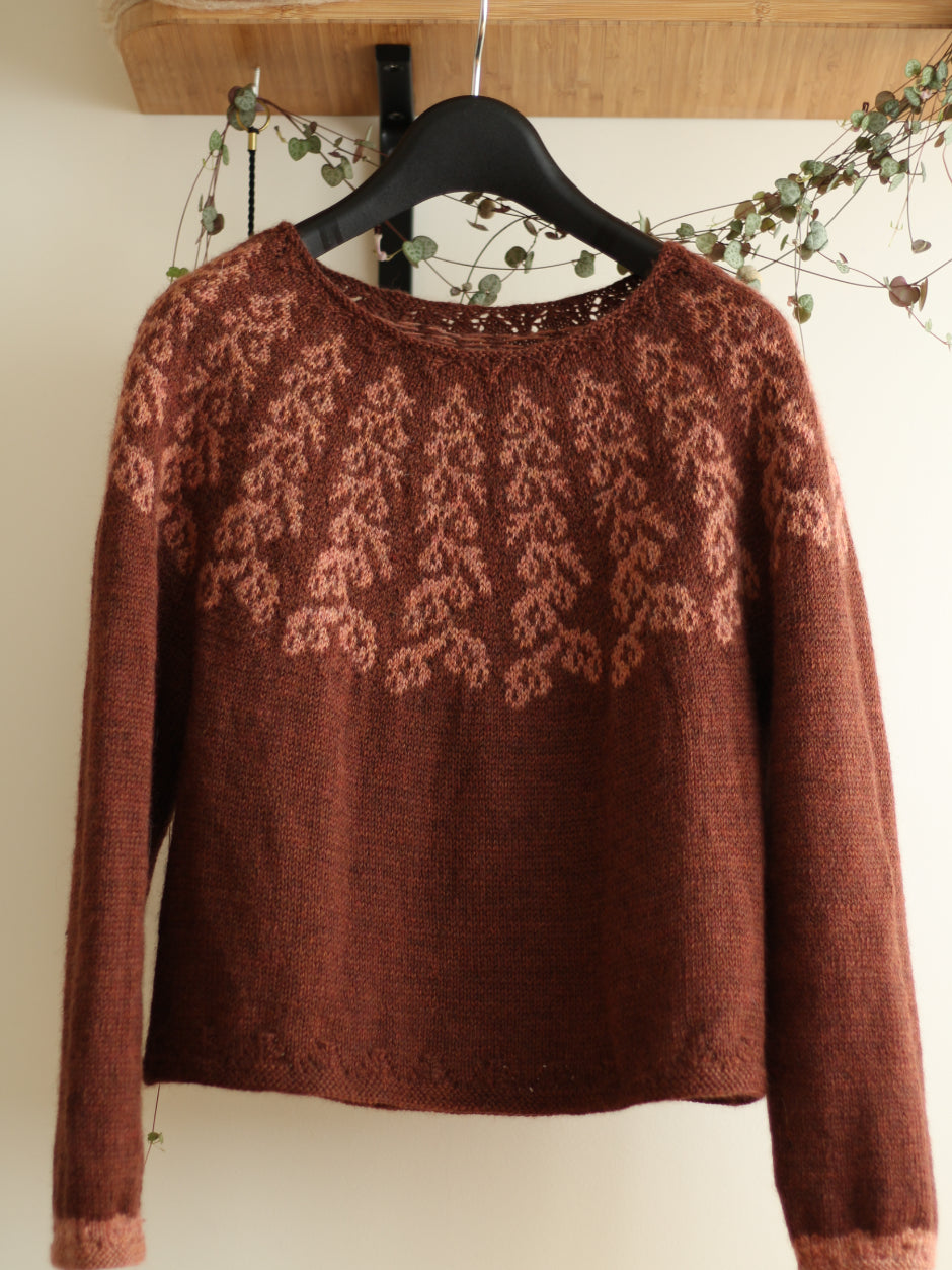 john-arbon-sil-n-pullover-kit-tricot-pull-galleta-guitar-3-5 image 3