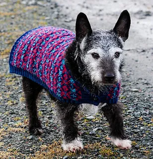 jamieson-smith-kits-jacks-jacket-kit-tricot-chien-jacquard image 1