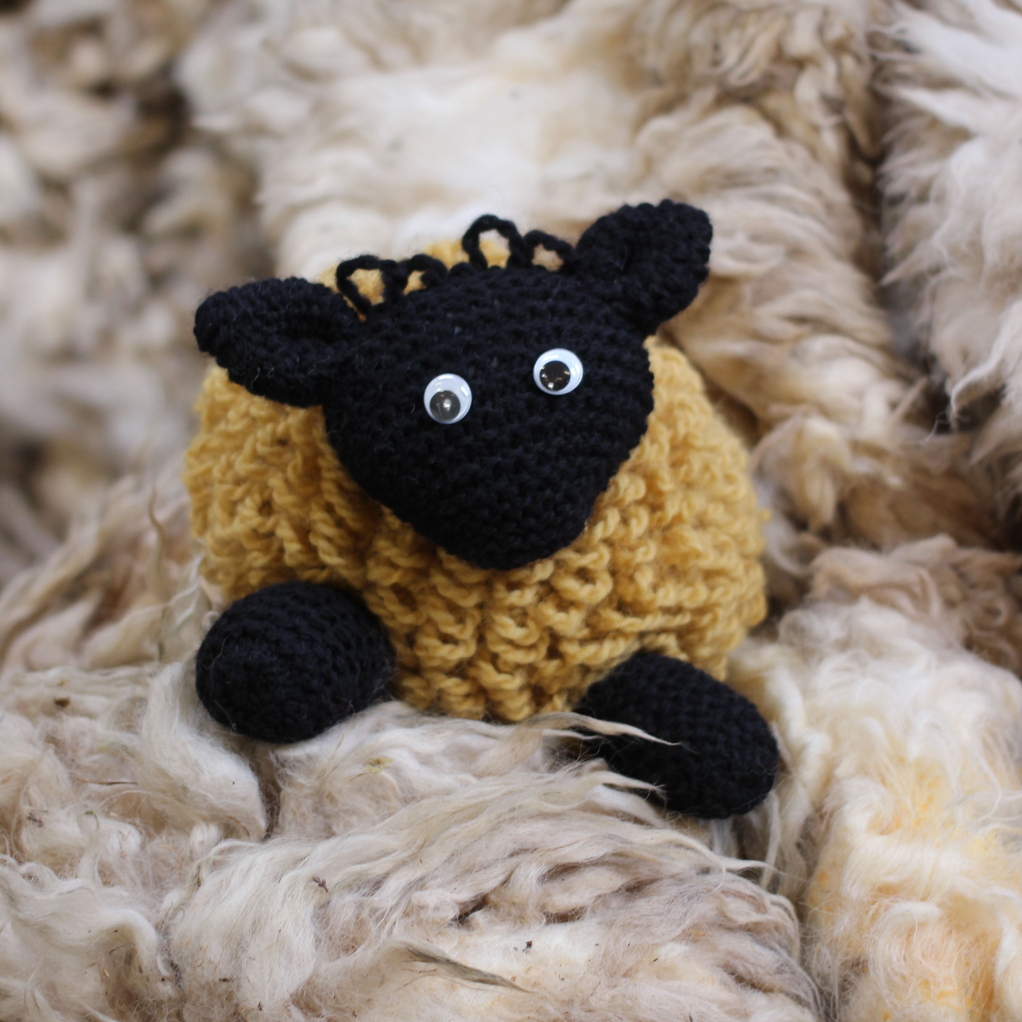 jamieson-smith-peerie-sheep-kit-tricot-coussin-coloris-2 image 2