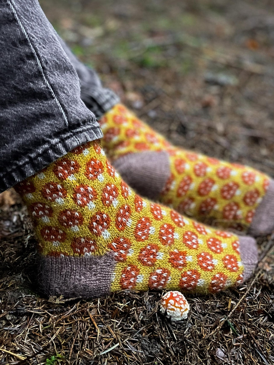 john-arbon-magical-mycelium-kit-chaussettes-exmoor-drumble-t1 image 2