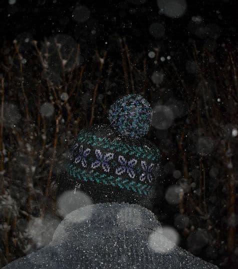 winter-garden-hat-nicole-estelle-patron-bonnet-t-l-chargement image 2
