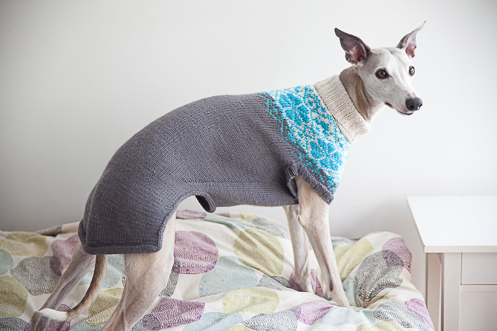 christallk-modeles-pyke-s-sweater-patron-pull-chien-l-vrier image 4
