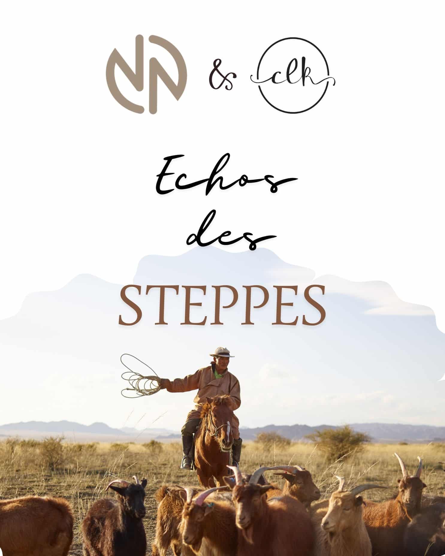 christallk-echos-des-steppes-patron-bonnet-pull-ch-le-mitaines-pdf image 1
