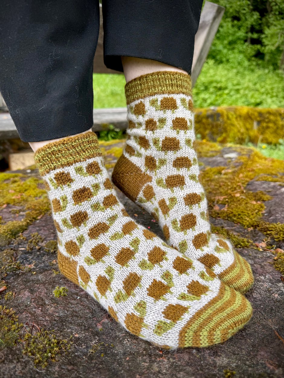 john-arbon-kits-slow-down-tortoise-kit-chaussettes-jacquard image 1