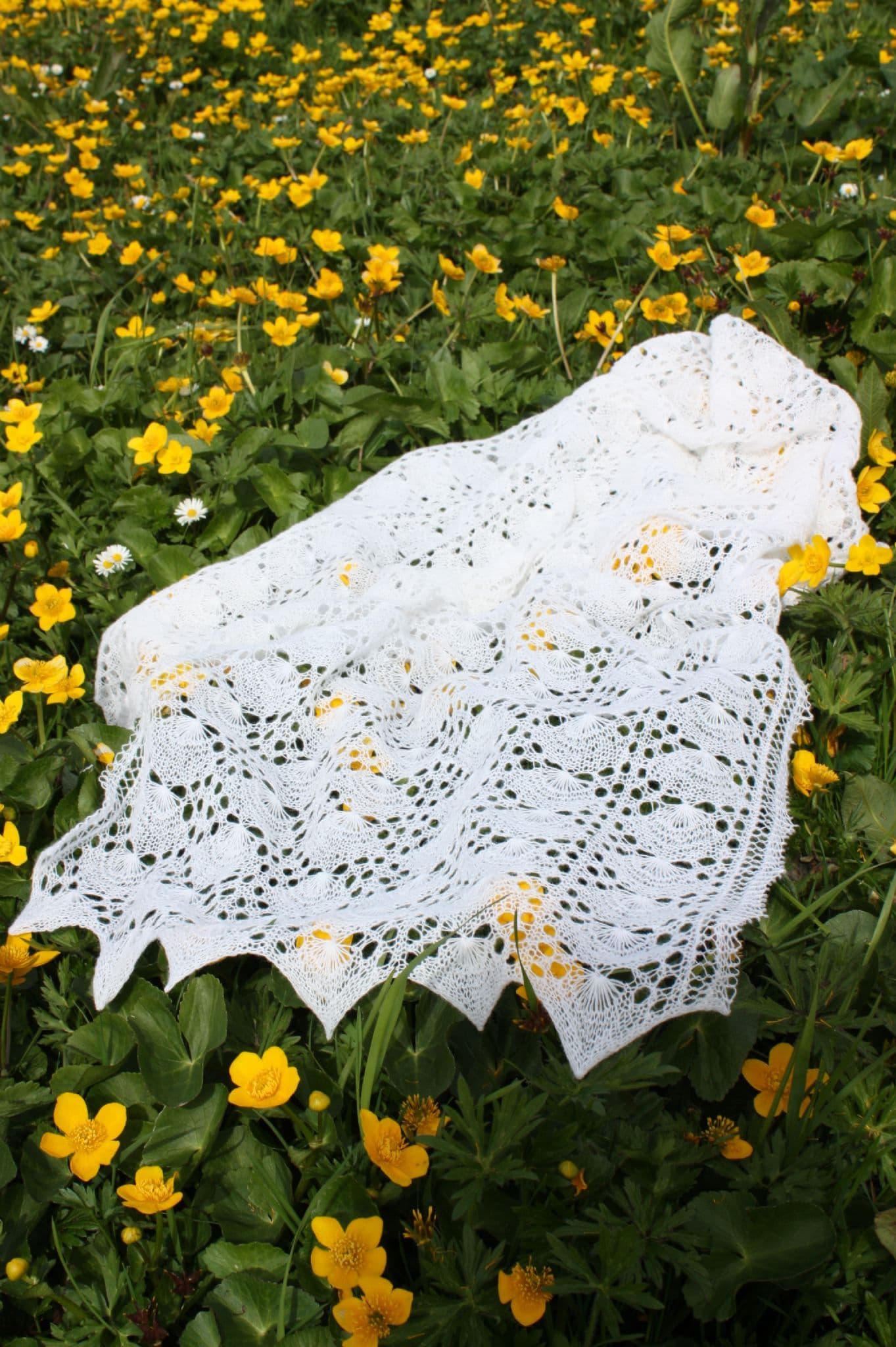 jamieson-s-cockleshell-stole-patron-tole-dentelle-mary-leask image 1