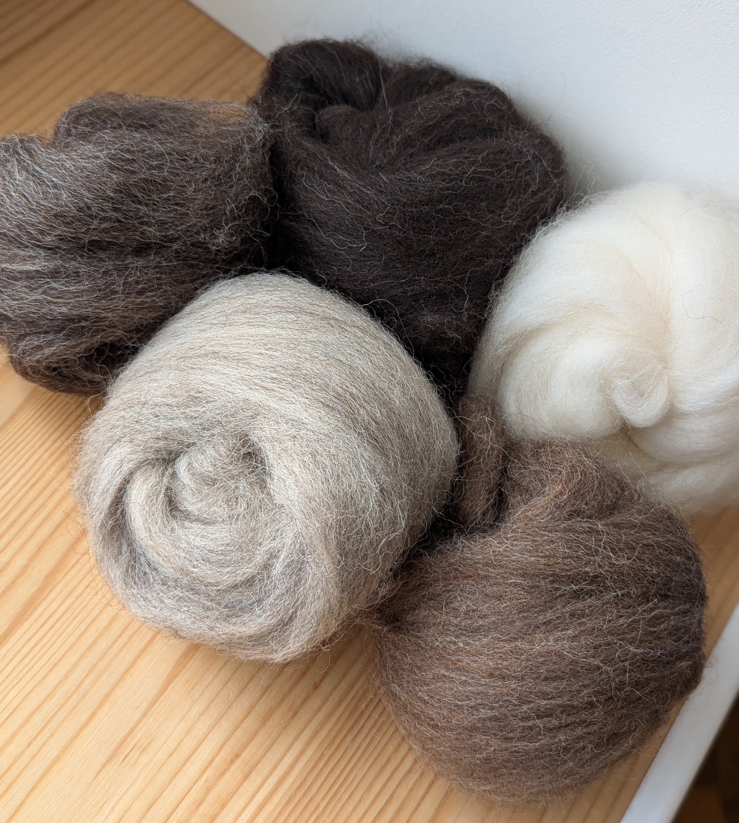 jamieson-smith-natural-combed-tops-fibre-shetland-100g-5-nuances image 1