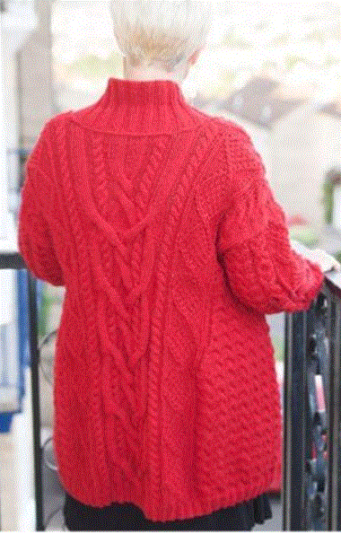 jamieson-s-scarlett-jacket-patron-veste-aran-femme-torsades image 1