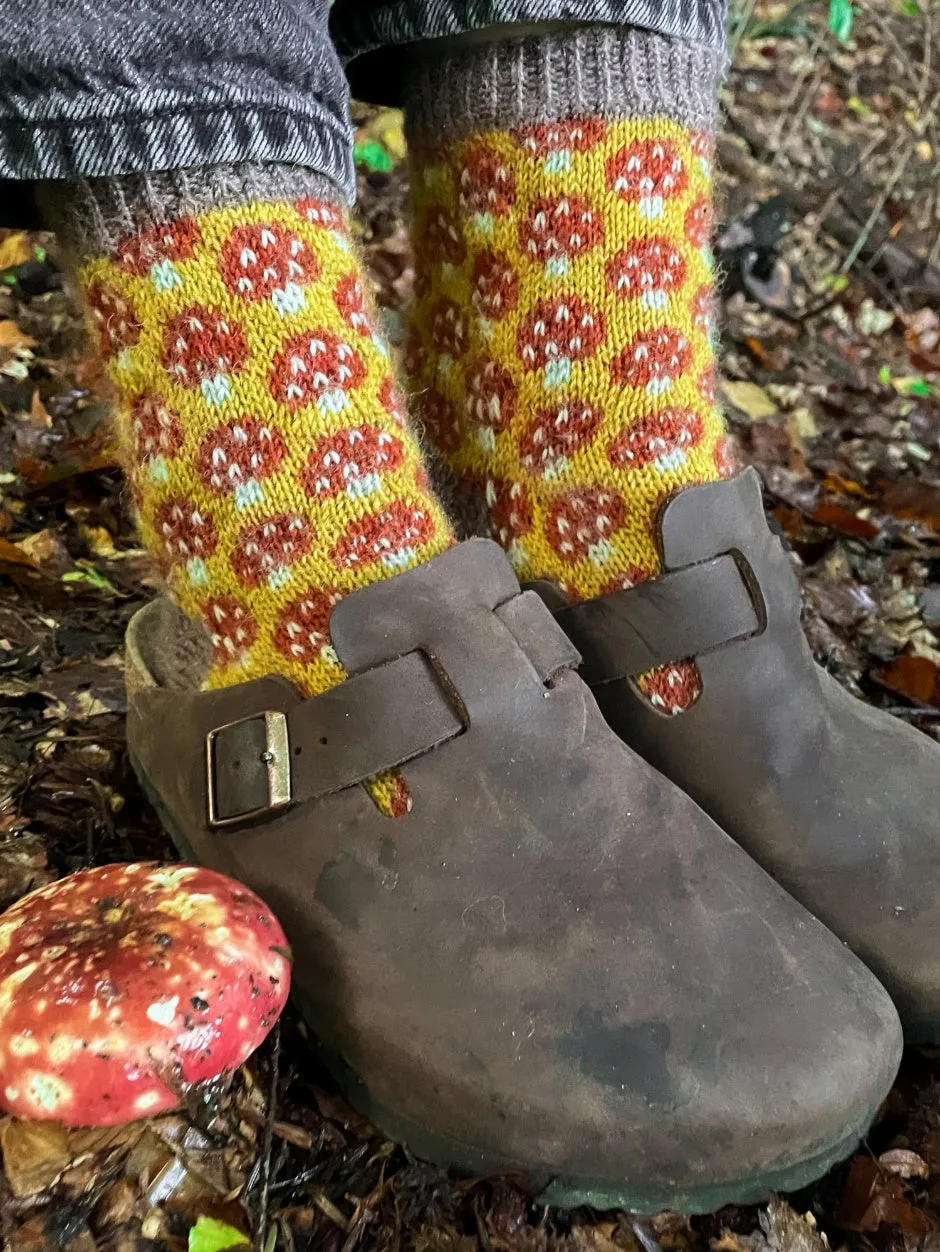 john-arbon-magical-mycelium-kit-chaussettes-exmoor-drumble-t1 image 1