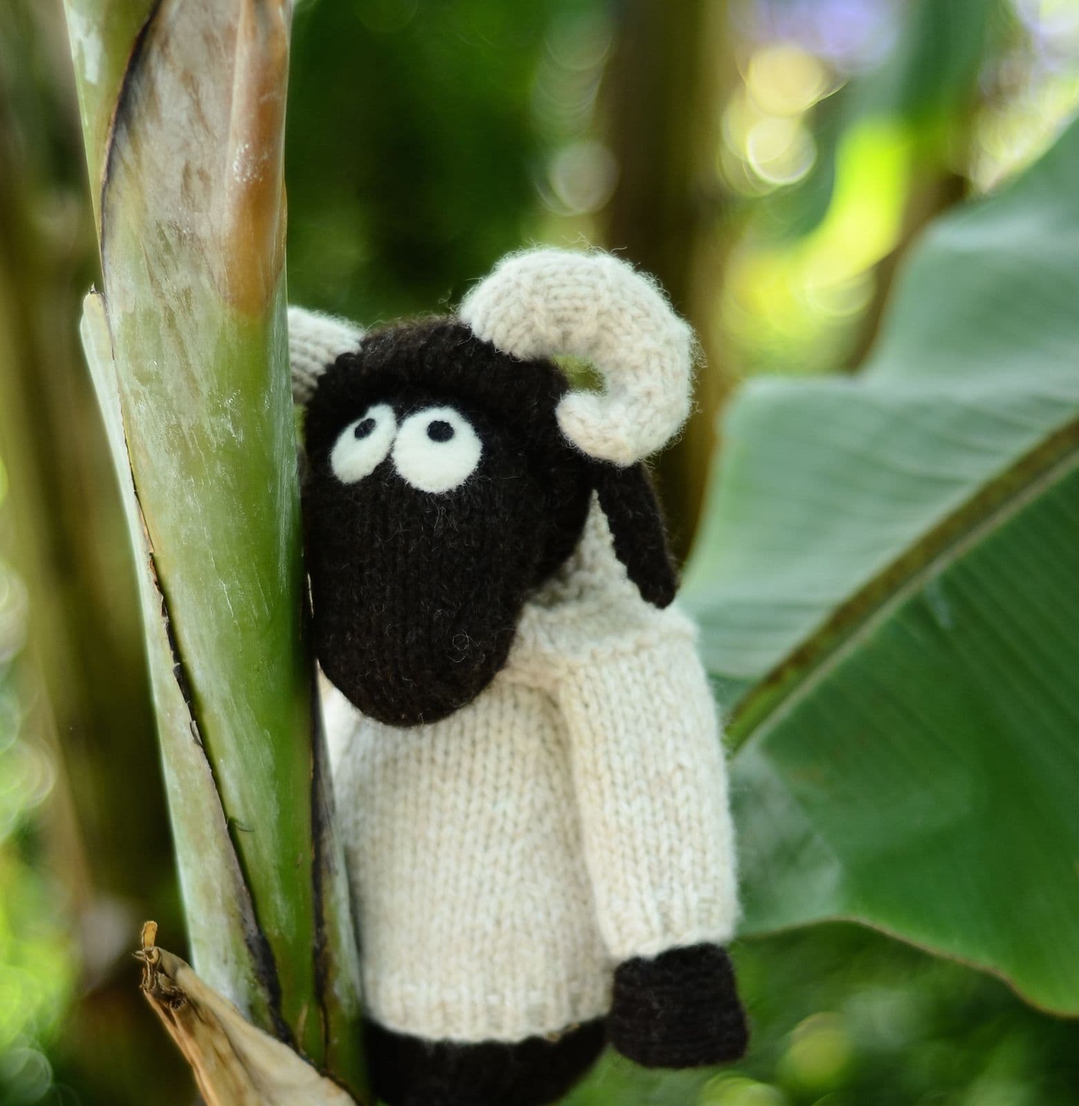 jamieson-s-janice-anderson-wee-blackface-sheep-patron-peluche image 2