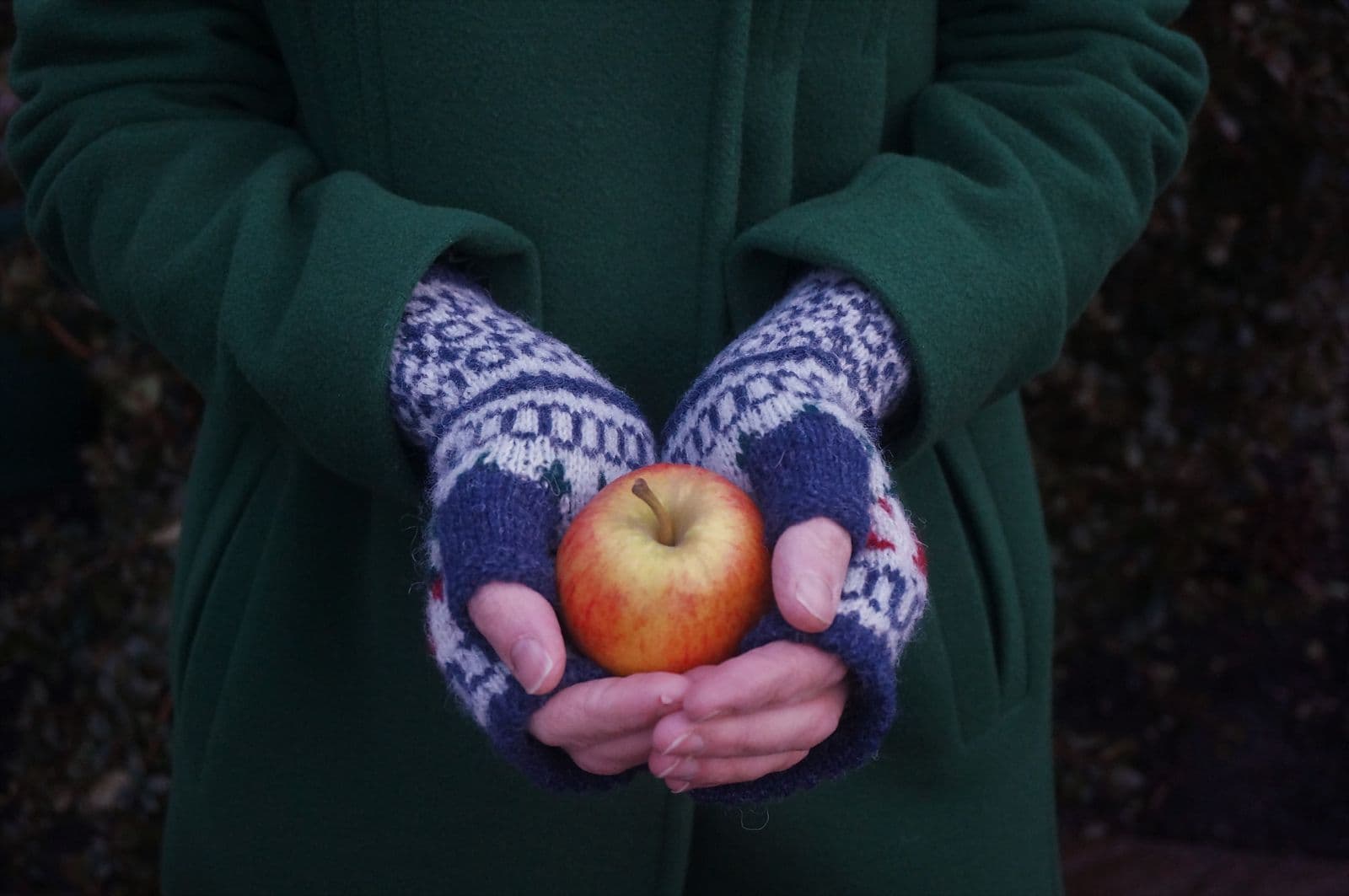 papil-mitts-donna-smith-patron-tricot-mitaines-jacquard-spindrift image 2