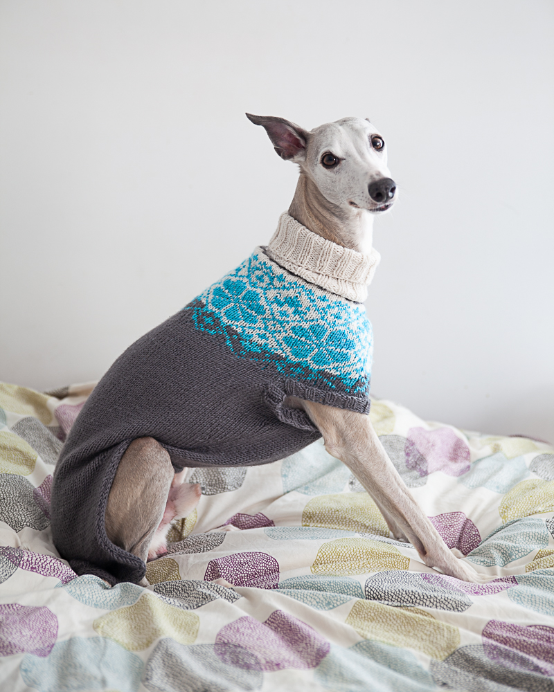 christallk-modeles-pyke-s-sweater-patron-pull-chien-l-vrier image 1