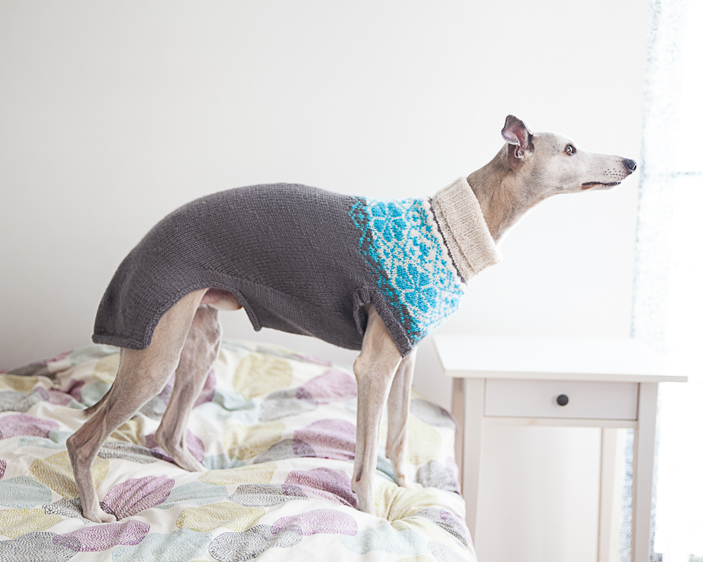 christallk-modeles-pyke-s-sweater-patron-pull-chien-l-vrier image 8