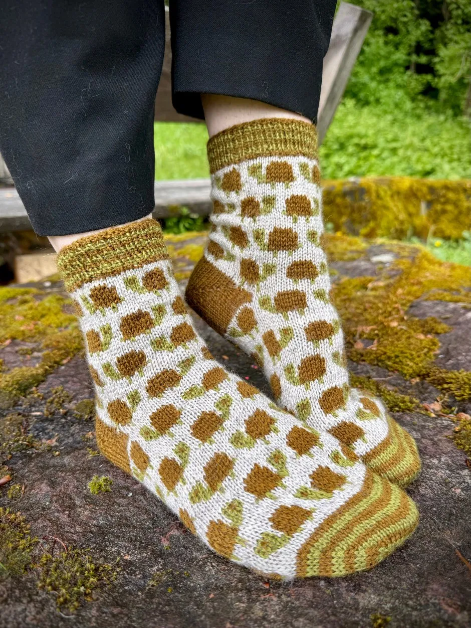 john-arbon-kits-slow-down-tortoise-kit-chaussettes-jacquard image 1