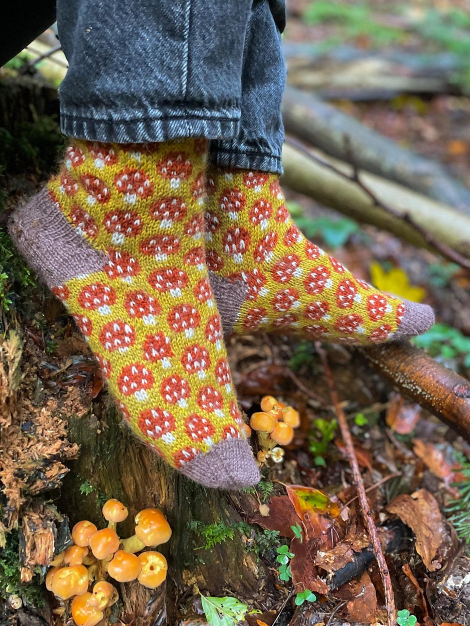 john-arbon-magical-mycelium-kit-chaussettes-exmoor-drumble-t1 image 3