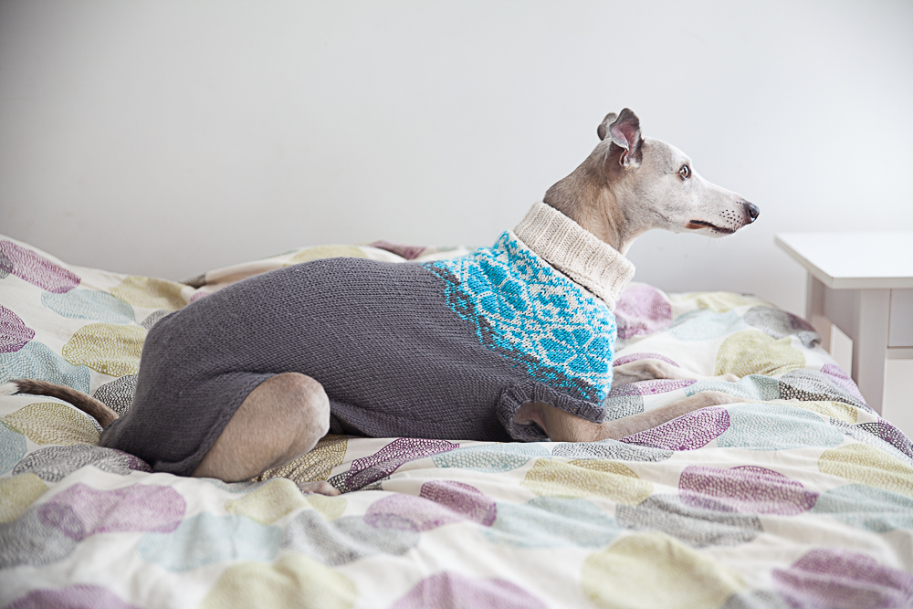 christallk-modeles-pyke-s-sweater-patron-pull-chien-l-vrier image 3