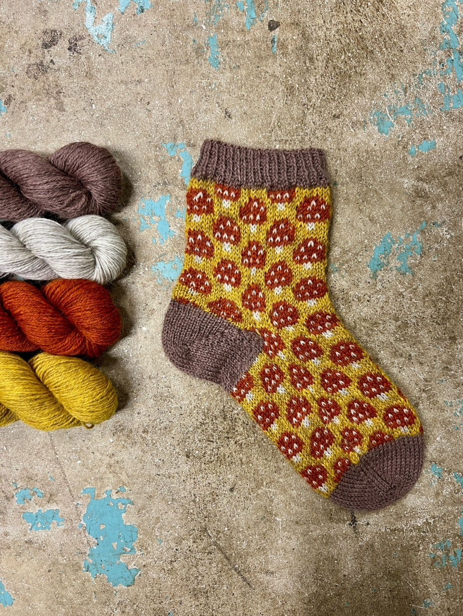 john-arbon-magical-mycelium-kit-chaussettes-exmoor-drumble-t1 image 5