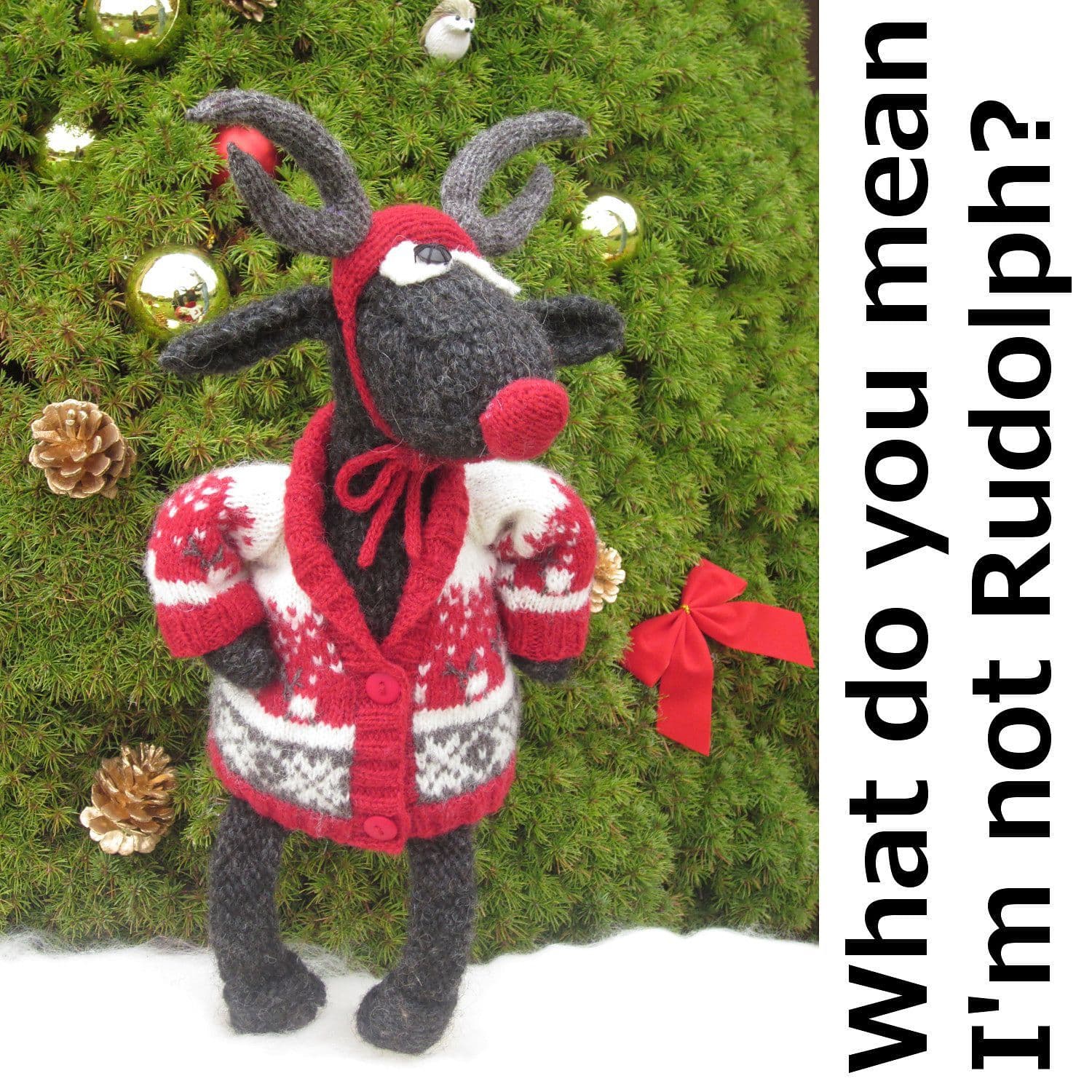 jamieson-s-rudolph-ramdeer-patron-tricot-tenue-no-l-janice-anderson image 2
