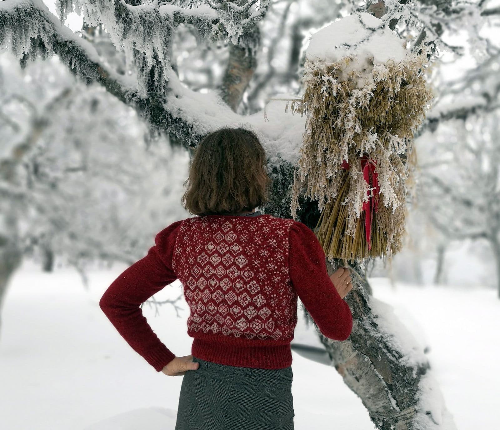tori-seierstad-finjulekofte-patron-gilet-no-l-jacquard image 2