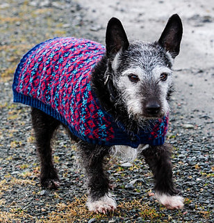 jamieson-smith-kits-jacks-jacket-kit-tricot-chien-jacquard image 1