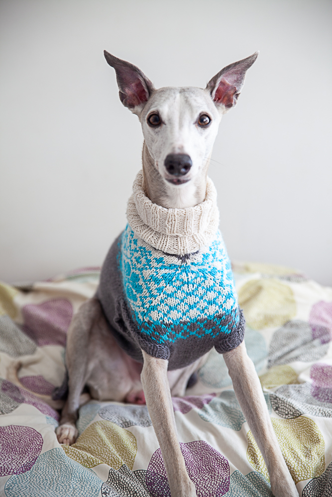 christallk-modeles-pyke-s-sweater-patron-pull-chien-l-vrier image 2