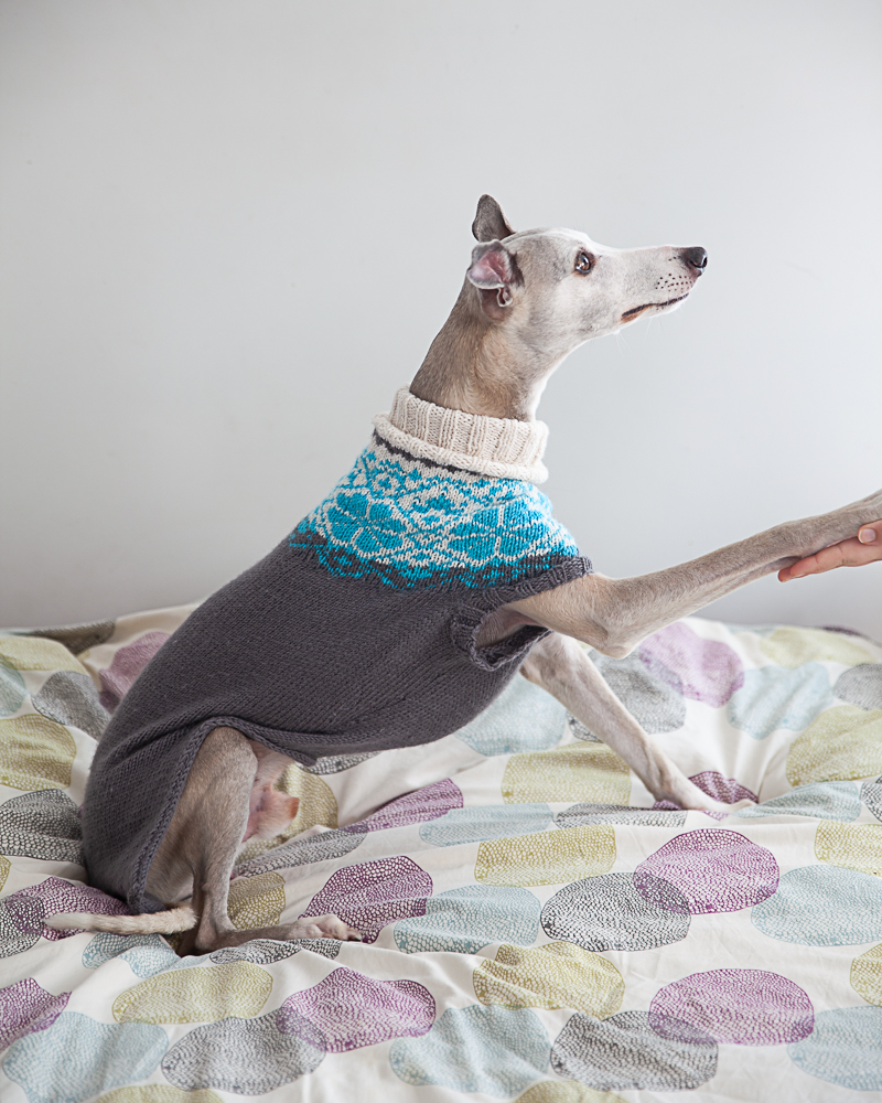 christallk-modeles-pyke-s-sweater-patron-pull-chien-l-vrier image 5