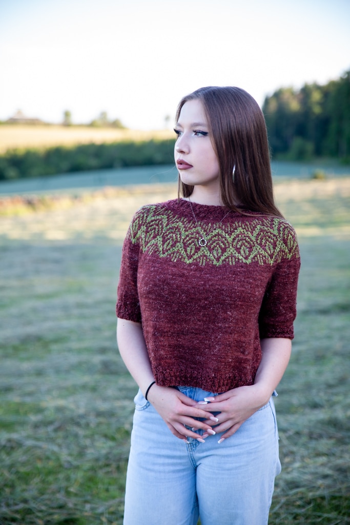 christallk-modeles-foliage-sweater-patron-pull-mosa-que-lin image 2
