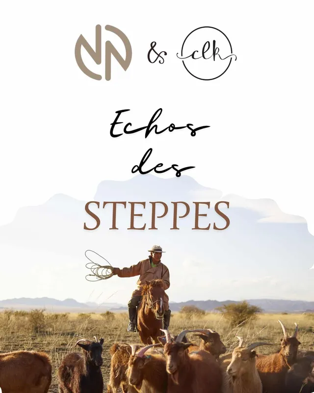 christallk-echos-des-steppes-patron-bonnet-pull-ch-le-mitaines-pdf image 1