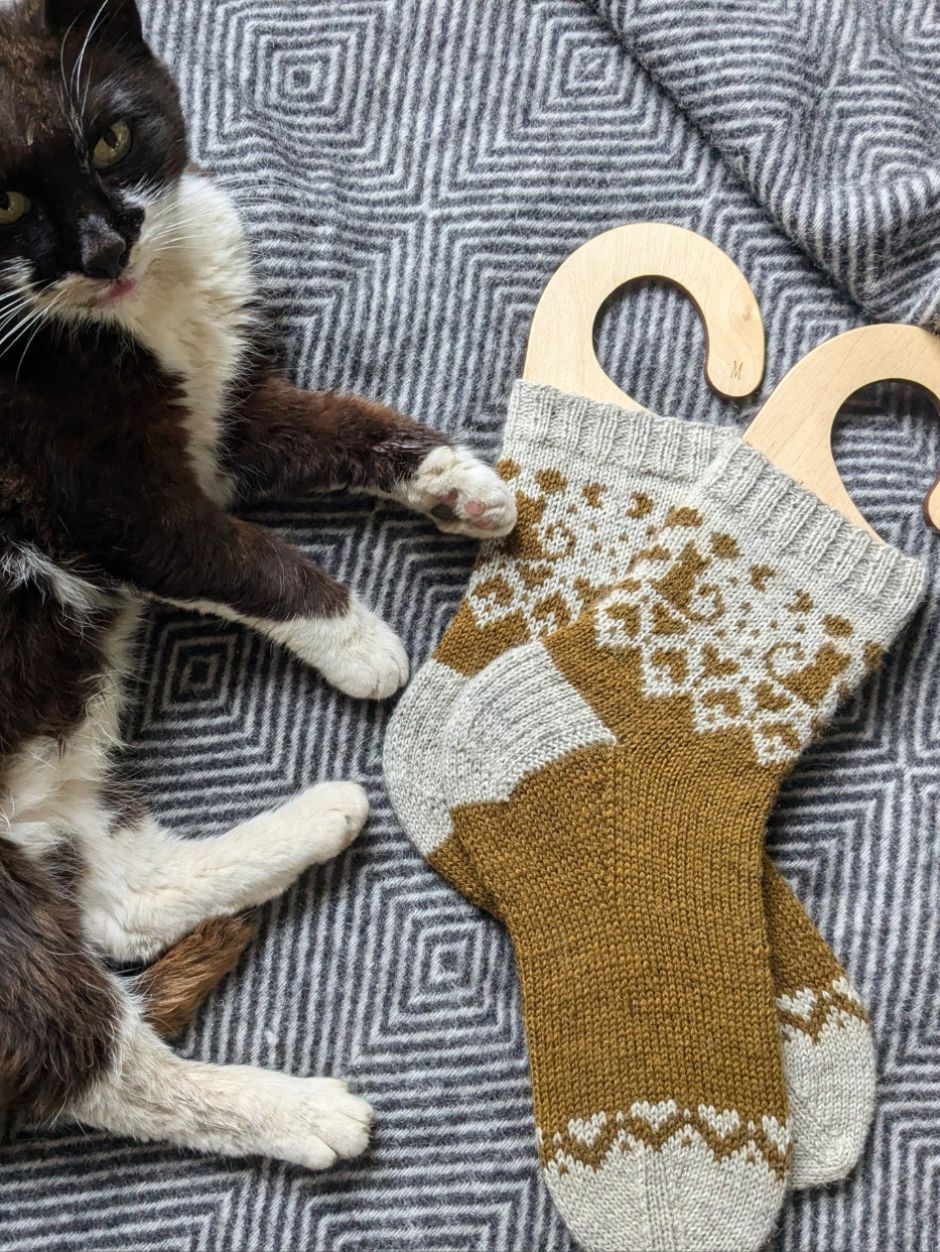 john-arbon-kits-cat-love-socks-kit-chaussettes-fuzzpig-mizzle image 2